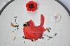 DSC_6792.thumb.JPG.8e6c64ad9da98bd20173350854610ade.JPG