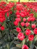 IMG-20250521-WA0019.thumb.jpg.8698b723d695badc4f38d9f9c345fdf6.jpg
