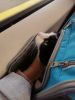 IMG-20250531-WA0001.thumb.jpeg.352be6a237f47239ddb615a9a0fa9d97.jpeg