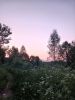 IMG-20250608-WA0003.thumb.jpg.220881262168fea9d3d6ad4c378fdad7.jpg