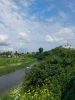 IMG-20250613-WA0014.thumb.jpg.ebf2fd94474019d91d2520922c1dceeb.jpg