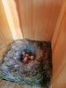 IMG-20250617-WA0000.thumb.jpg.8c9f80f43f6cced3d73109a7dc2e34b6.jpg