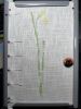 IMG20250413224754.thumb.jpg.d7703956d7e1fe407dead2e592498d1c.jpg