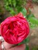 IMG20250619130951.thumb.jpg.07bf2b5ea4d411ccb5def5300c6b40c7.jpg