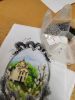 IMG_20250226_124829.jpg