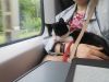 IMG_20250531_091851.thumb.jpg.32ede3614be5508ac744657c576fe8df.jpg