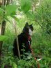 IMG_20250531_120126.thumb.jpg.64e01c74c486f6877bb31e6b7d56a697.jpg