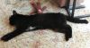 IMG_20250601_175852.thumb.jpg.6a4f32de130aa7af27f8acbc6ae05d7c.jpg
