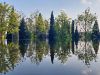 IMG_20250604_222916_441.jpg