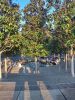 IMG_20250604_222926_784.jpg