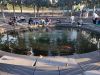 IMG_20250604_222926_897.jpg