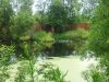 IMG_20250614_163117.thumb.jpg.84f64485a8ce2ea46377fdca2ff6374a.jpg