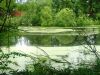 IMG_20250614_163224.thumb.jpg.c60bd84e85e7329a0bfbabad8d906382.jpg