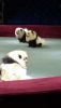 IMG_20250621_180026.thumb.jpg.d4c8a4f1ed68cc14dcf4ee8207ee3340.jpg