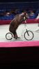 IMG_20250621_182859.thumb.jpg.44a6db38142eb06479ece06358edb3eb.jpg