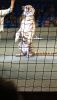 IMG_20250621_192817.thumb.jpg.ff1071bc615ba7834c7fb9e645ec3e43.jpg
