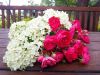 IMG_20250622_133724.thumb.jpg.ddbd53f9c4e3b1e4dbece29350a80149.jpg