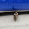 IMG_20250623_091735.thumb.jpg.4df164308725033efe9c9fc40b869f61.jpg