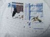 IMG_20250624_092822.thumb.jpg.33ad2b8ab032a6040eed5f94be3647b6.jpg?1750792558275