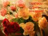 IMG_20250624_124834_297.thumb.jpg.536131e645518a11ed60b26099fdf4ac.jpg