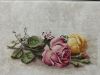 IMG_3059.thumb.jpeg.71fa3970f9427162f77d5ba34550ce15.jpeg