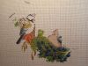 IMG_4185.jpeg