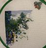 IMG_8459.jpeg