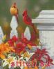 Kustom Krafts 98257, Perched Pretty - Cardinals
