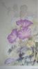 2.thumb.jpg.ce984228812b2a297dbc360124cbe4ba.jpg