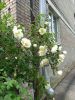20250611_110504.thumb.jpg.a47e26e80667fe6d0c22e8512e66a7d7.jpg