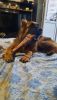 20250629_160952.thumb.jpg.3d3acfdf2e430778a5d8b92b8f6df685.jpg