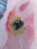 20250715_102412.thumb.jpg.0a0c6454ba50f55945e12f26339f192d.jpg