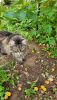 20250715_163349.thumb.jpg.bda310863e9c86a7f225a7acf8a00927.jpg