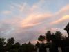 20250727_211858.thumb.jpg.12b03045fe757e5a36e2e2432f8fdd80.jpg