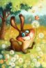 2076017309_.thumb.jpg.d3b24b394d877cea616fb1593a50d3d6.jpg