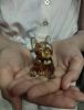2U72IUZF3USoM2BIw0oSbdvevZOFXtijkUKzZUeSyQVjOVC67HrTyqCBfhf1GhvROX6CaMab7jz6Zi0W_CNhP4ZS.thumb.jpg.eee4b279d49a88e8be7eb7ee54f1d96a.jpg