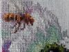 4.thumb.jpg.c8a26b50d619bde3d8a89b82969c2e7f.jpg