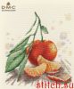 48929.thumb.jpg.293dd7c53b23bb73b31fa554c920939c.jpg