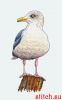56045.thumb.jpg.ab8b84ea71a24e42e61a1bd16acb7f75.jpg
