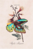 734547710_.thumb.png.61ff76a88e9f5a8f8b88ca63da923bde.png