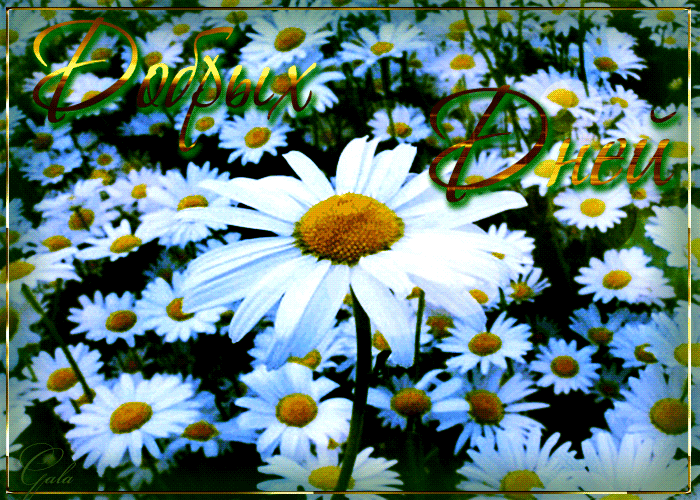 976de175d7870b3539b91d72ad058fff.thumb.gif.5dd950bcac44ccf74873adf84c6dc4a1.gif