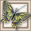 Вдохновение BGP-002, Махаон