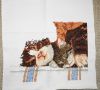 DSC04929.thumb.JPG.9878aa21c447796c4d68ef4ebae910f0.JPG