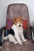 DSC_7120-2.thumb.JPG.99c3ea96d2dc705fa9ad88396ac0cdda.JPG