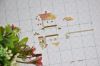 DSC_7374.thumb.JPG.a763856e8a89c43f80e5782f6f878e1b.JPG