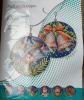 IMG-20250626-WA0002.thumb.jpg.3750f19634f8a3b8a77c426798dd8436.jpg