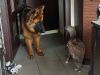 IMG-20250709-WA0003.thumb.jpg.882d12f90313e5b2a69a83d7a03dca71.jpg