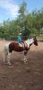IMG-20250715-WA0016.thumb.jpg.1f2dde4a92e10c38d5d8ae2870bcfcb7.jpg