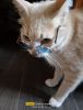 IMG-20250726-WA0001.thumb.jpg.c657aa47f5d1a0345dc8e11cf26aef6b.jpg
