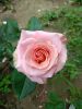 IMG20250701161822.thumb.jpg.6db68a3d79884287f7c8c29721e28e74.jpg